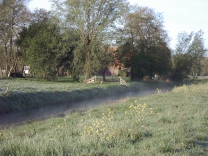 Boerencamping de Bioboer in Tijnje
